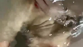 车展裸模【母狗性奴】巨乳模特沦为母狗，捆绑调教，乳夹抽打，一脸淫贱