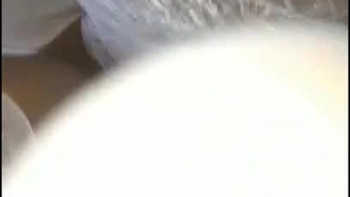 继父节快乐